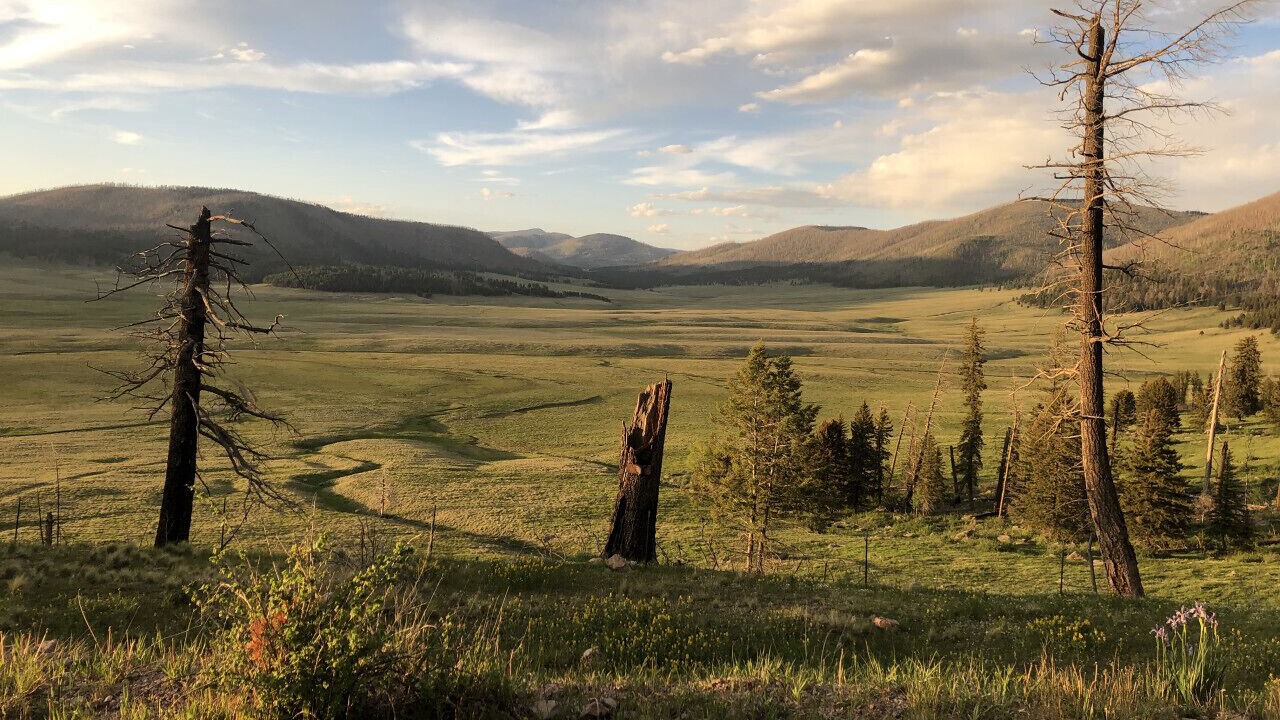 Photo of Others in Jemez Springs