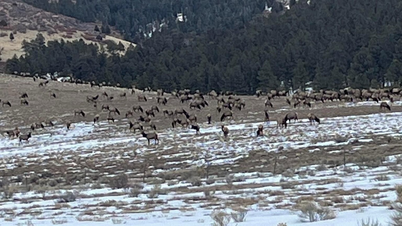 Photo of Outdoor in Eagle Nest