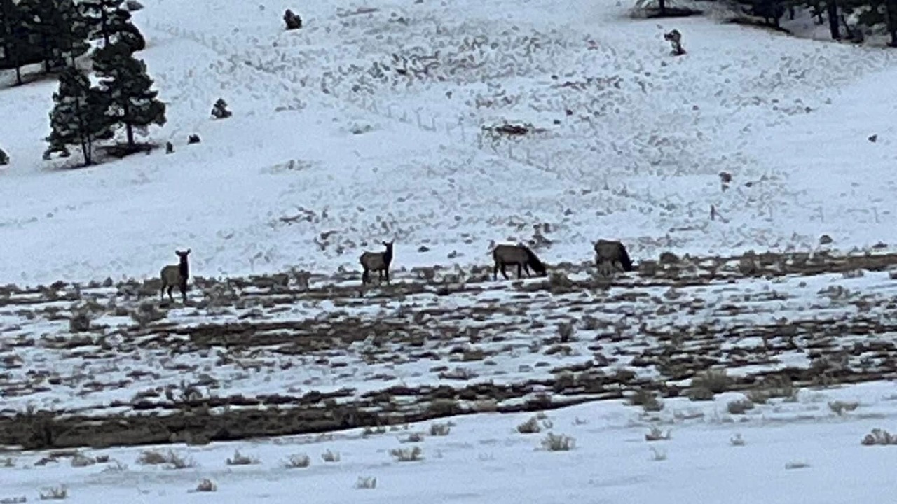 Photo of Others in Eagle Nest