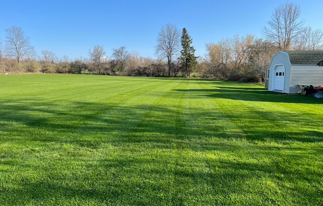 Photo of Outdoor in Dexter