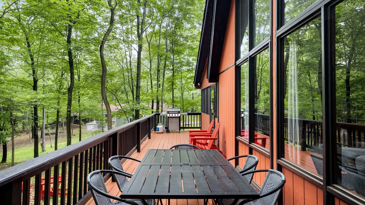 Photo of Outdoor in The Woods
