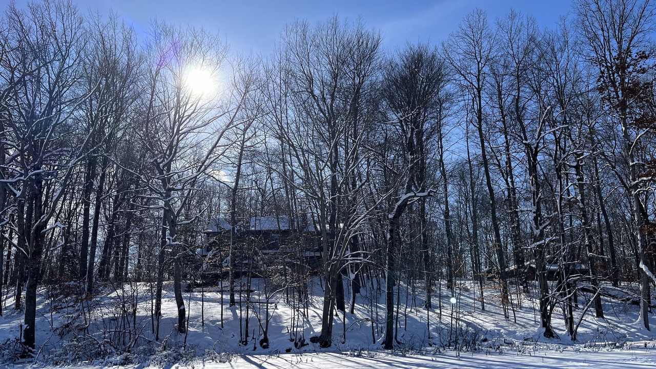 Photo of Outdoor in Delton