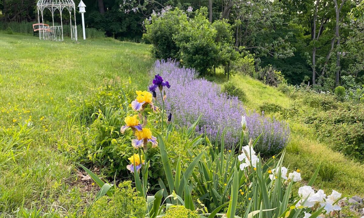 Photo of Outdoor in Harpers Ferry