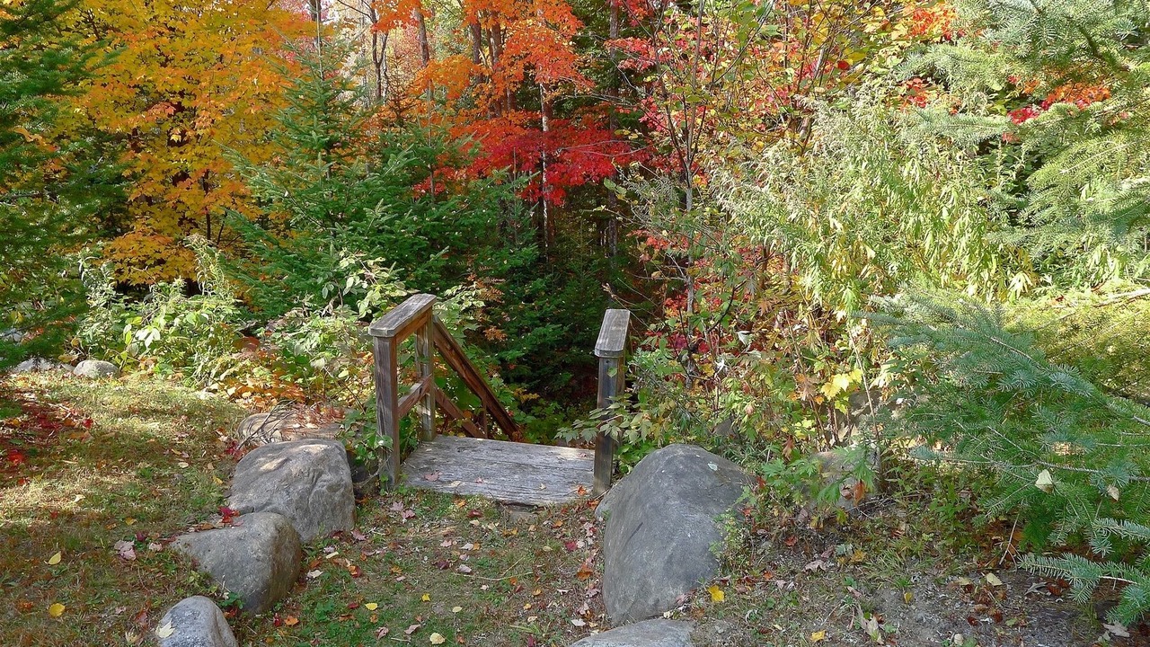 Photo of Outdoor in Lake Placid