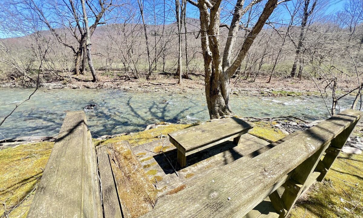 Photo of Outdoor in West Arlington