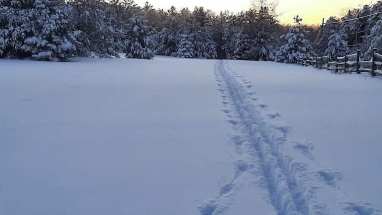 Photo of Others in Lake Placid