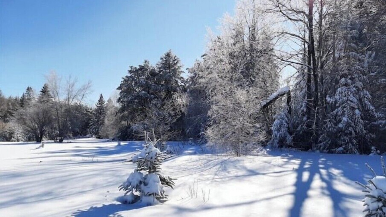Photo of Others in Lake Placid