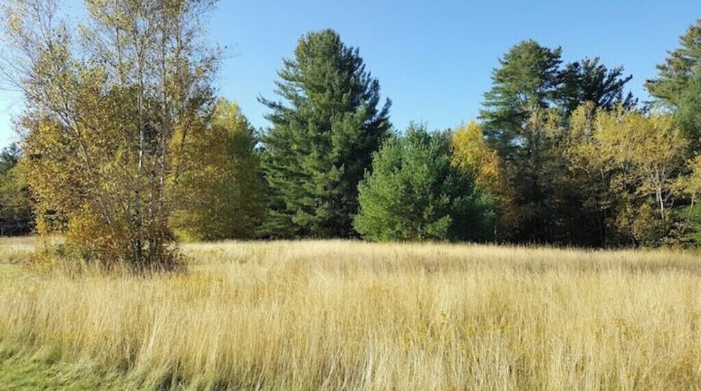 Photo of Others in Lake Placid