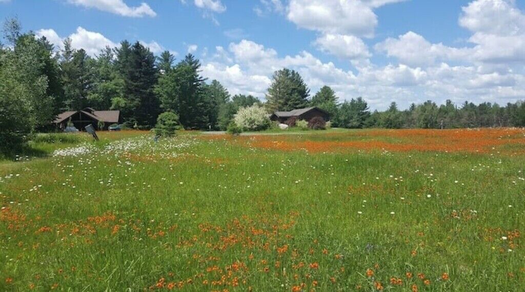 Photo of Others in Lake Placid