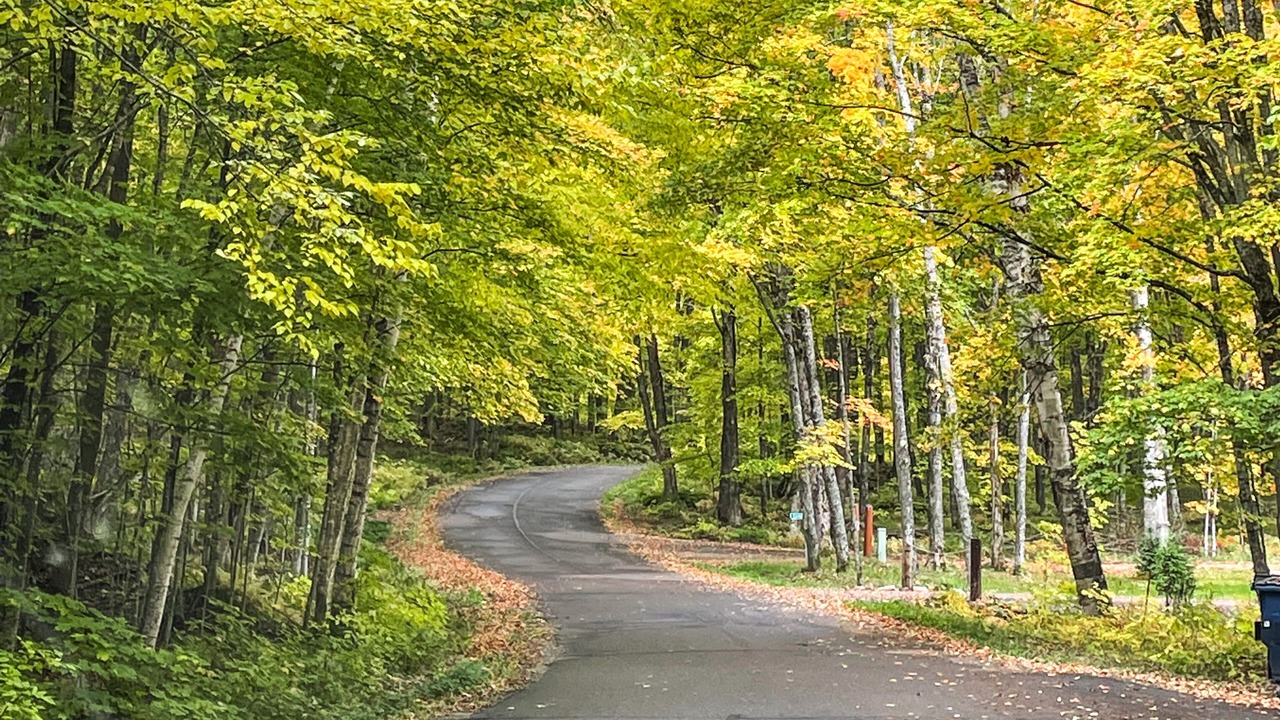 Photo of Outdoor in Phelps