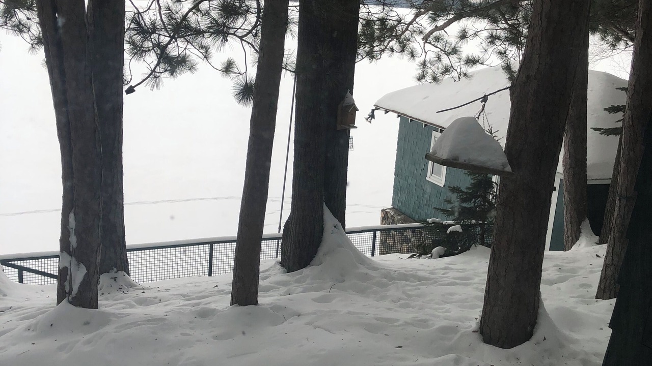 Photo of Outdoor in Tomahawk