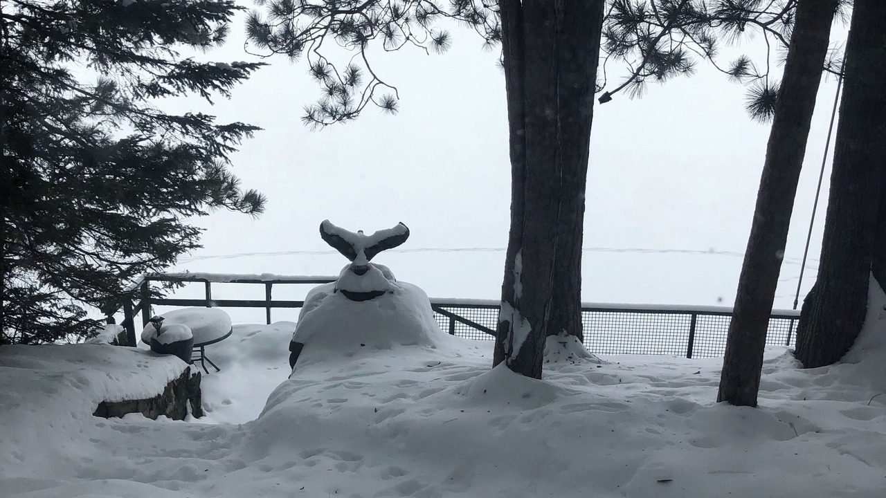 Photo of Outdoor in Tomahawk