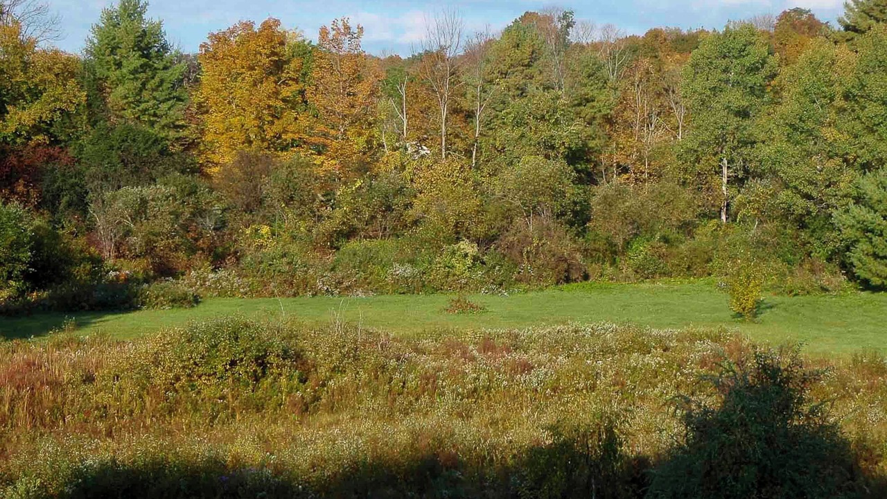 Photo of Outdoor in Richmond