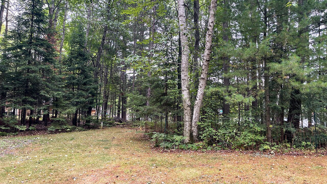 Photo of Outdoor in Lodi