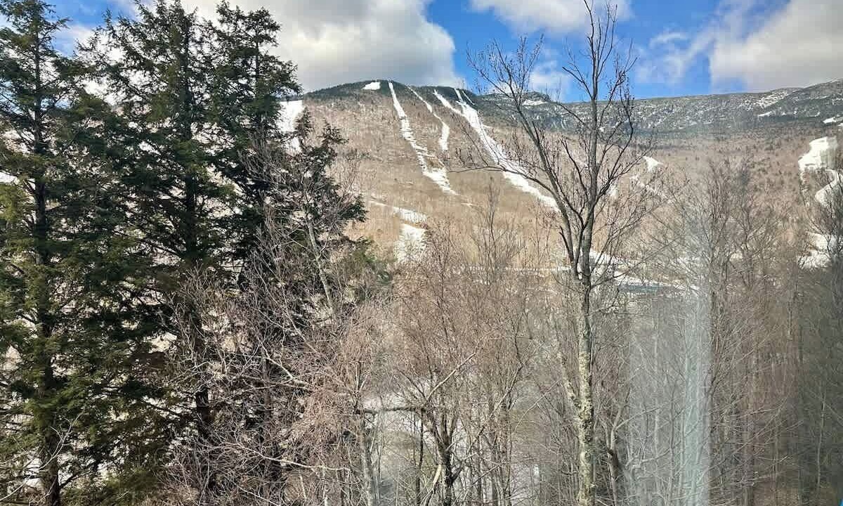 Photo of Others in Stowe Area
