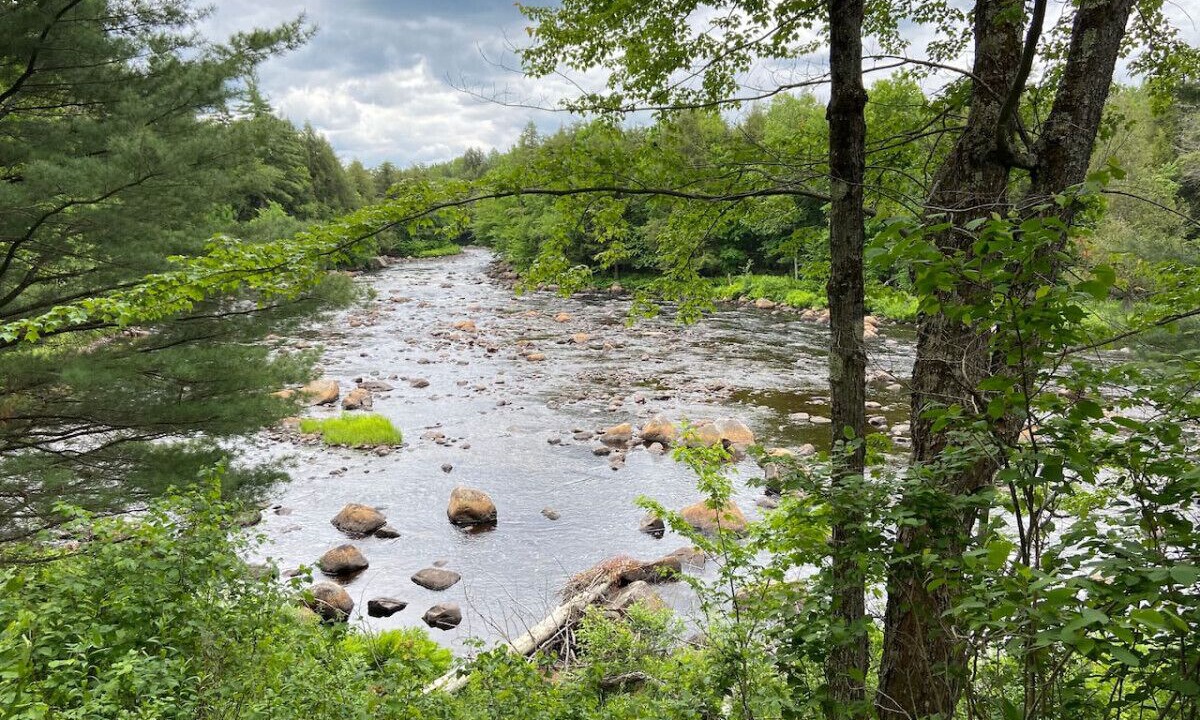 Photo of Others in Hopkinton