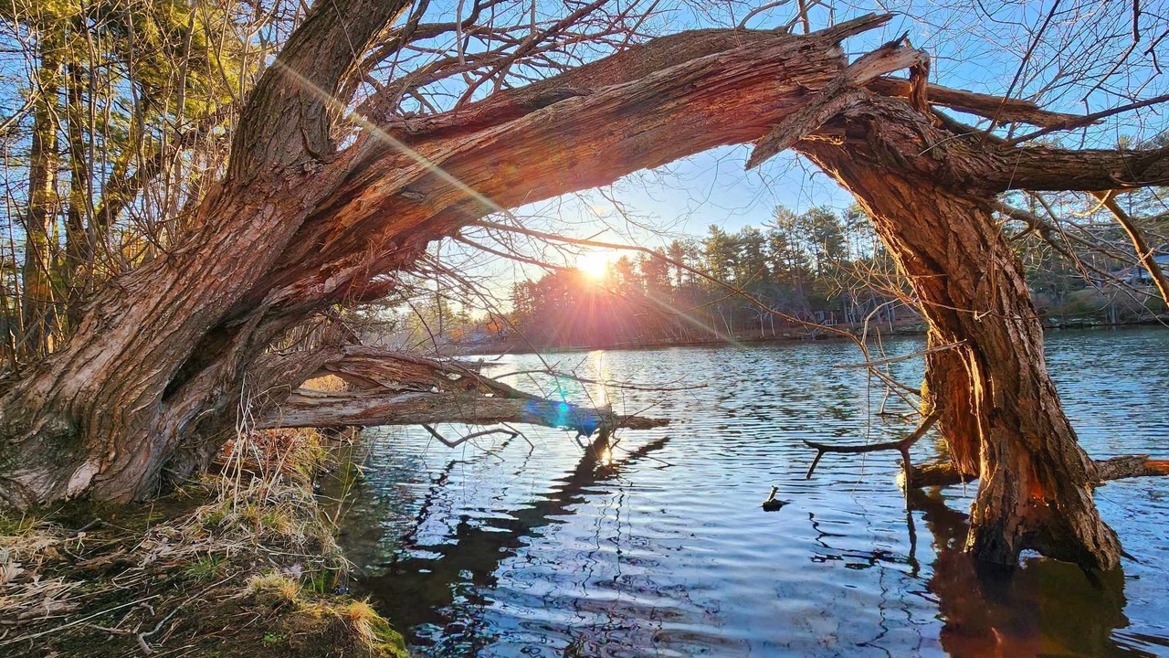 Photo of Others in Tainter Lake