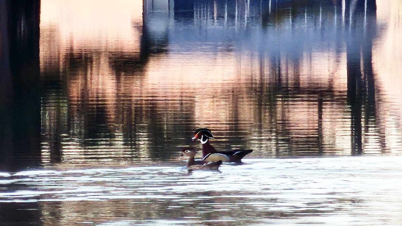 Photo of Others in Tainter Lake