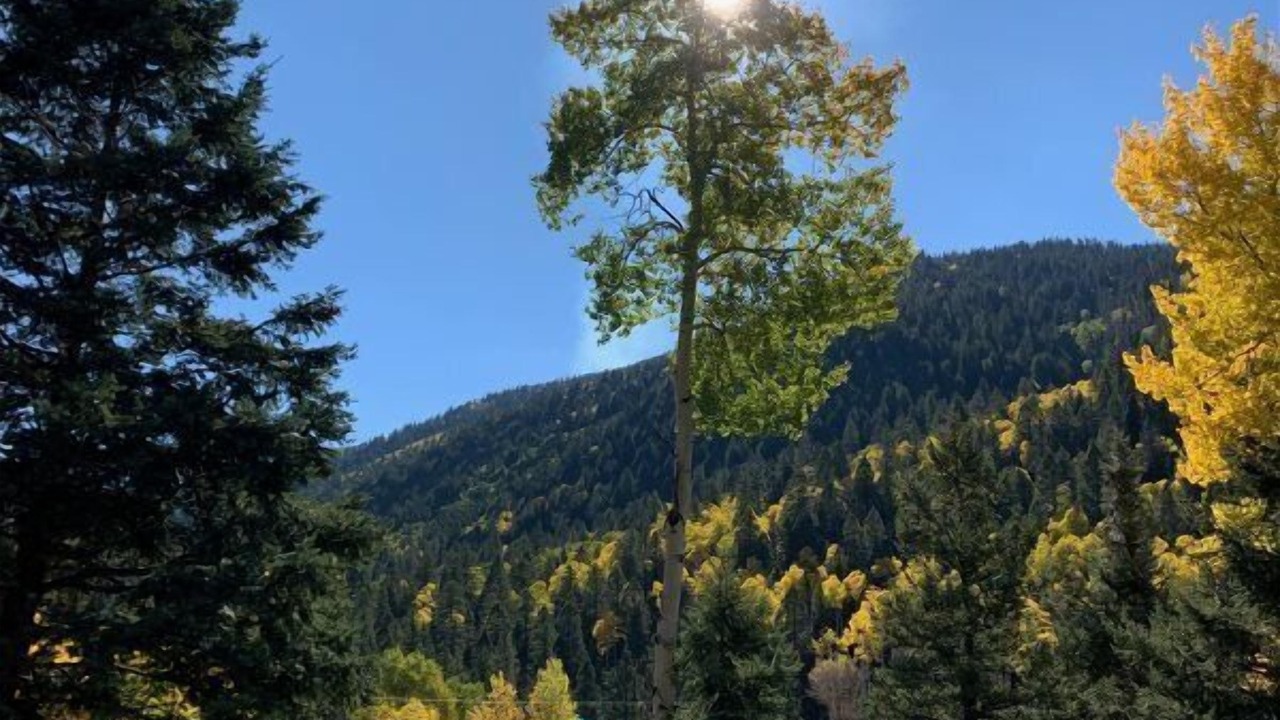 Photo of Others in Taos Ski Valley