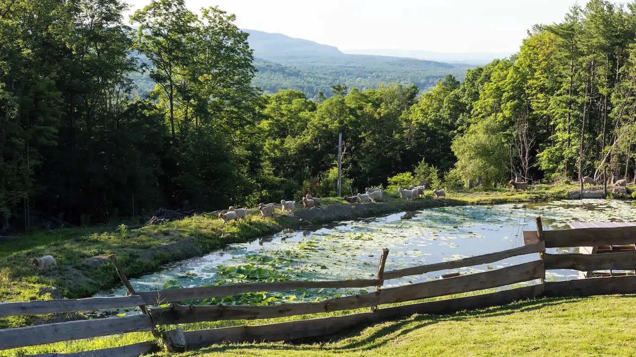 Photo of Others in Coeymans Hollow