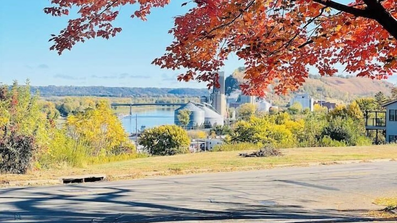 Photo of Others in Red Wing