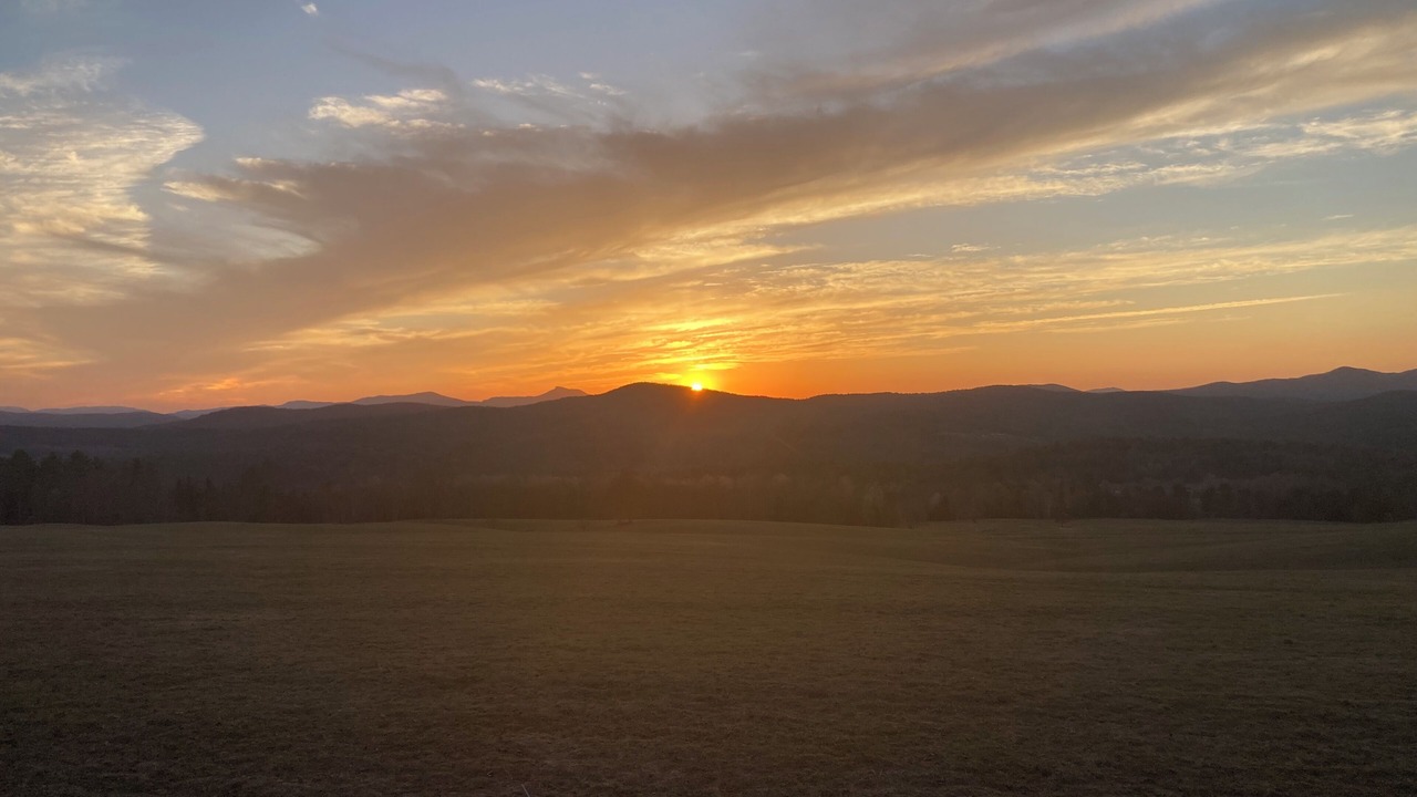 Photo of Others in Montpelier