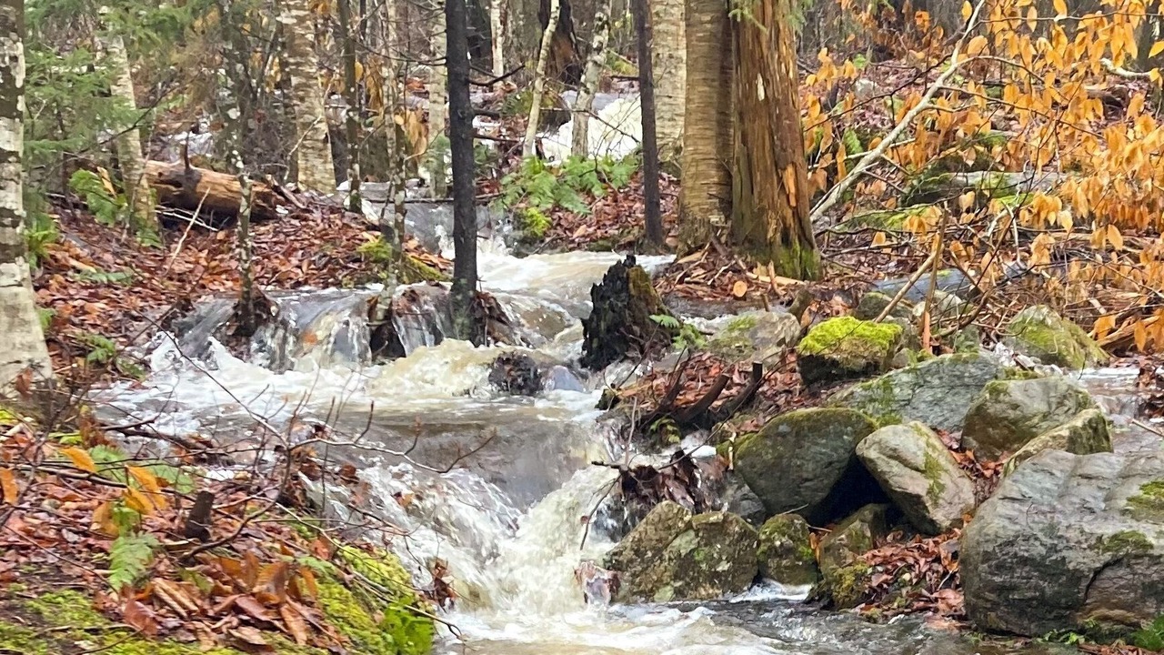 Photo of Outdoor in Woodford