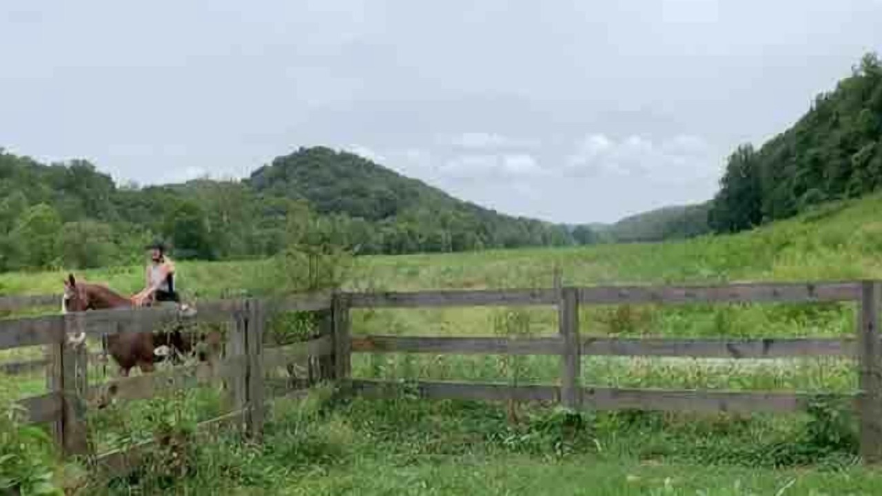 Photo of Outdoor in Franklin