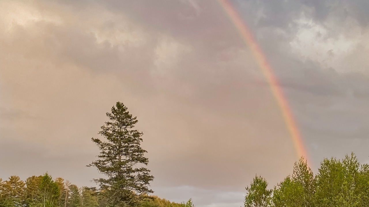 Photo of Outdoor in Littleton