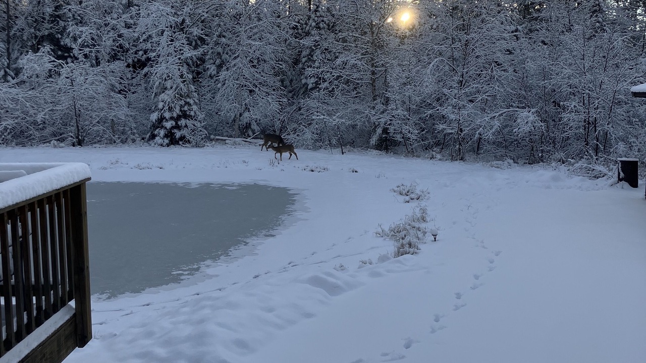 Photo of Outdoor in Medford