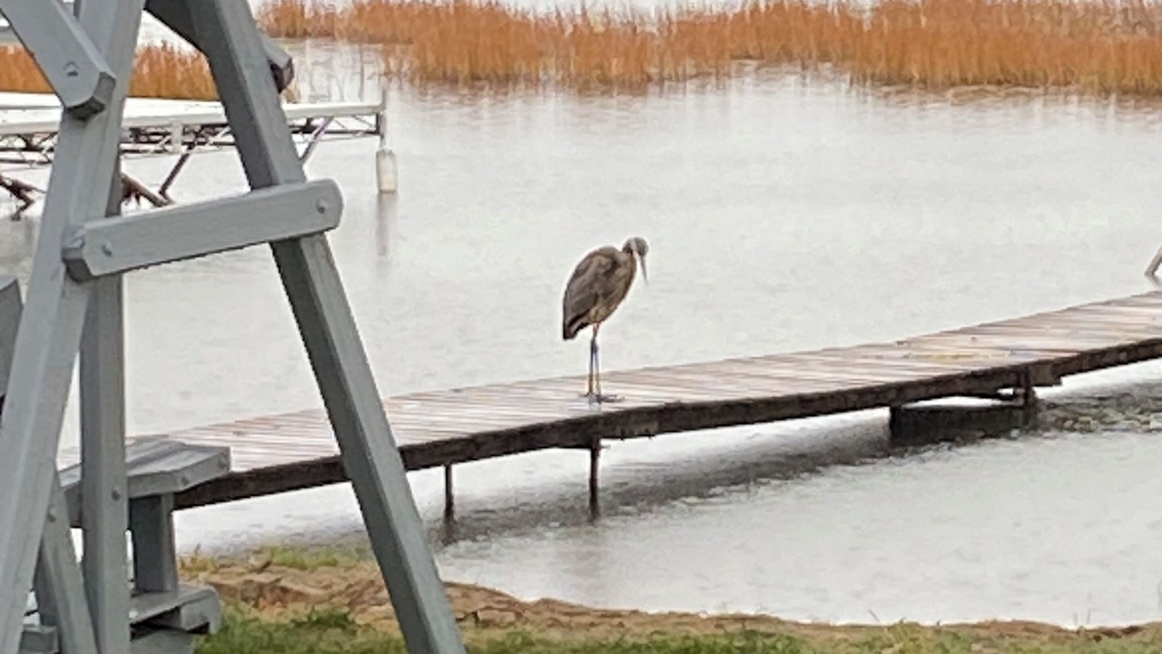 Photo of Others in Shawano