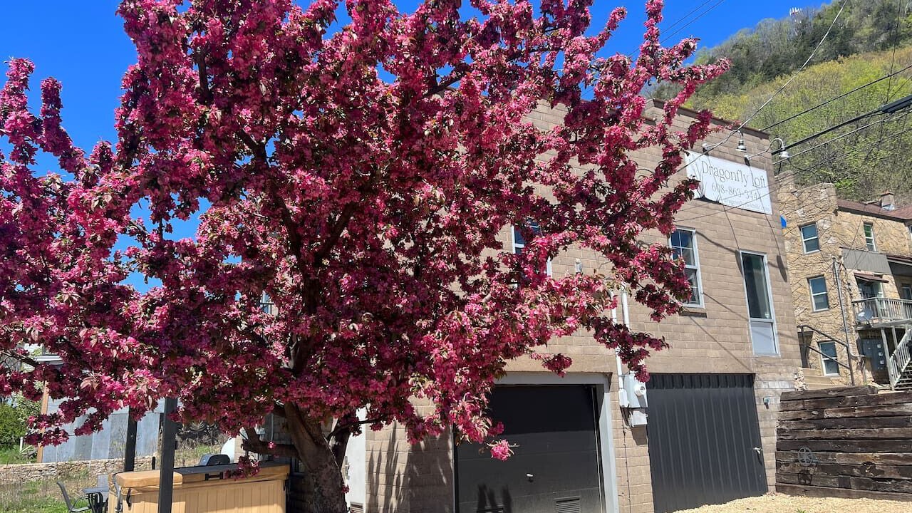 Photo of Outdoor in Fountain City