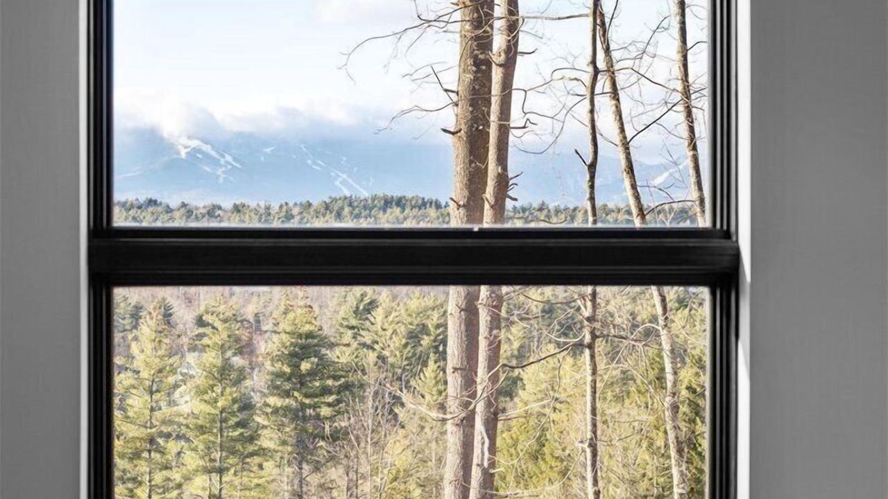 Photo of Others in Stowe Hollow