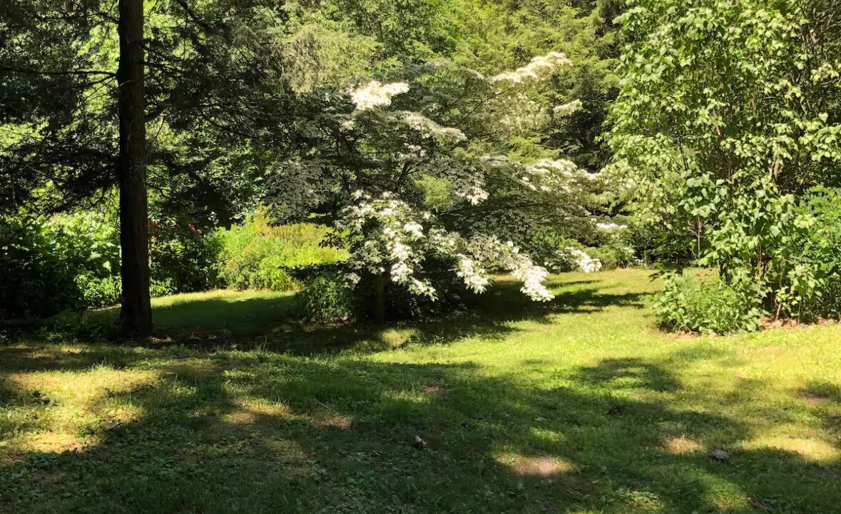 Photo of Outdoor in Milford