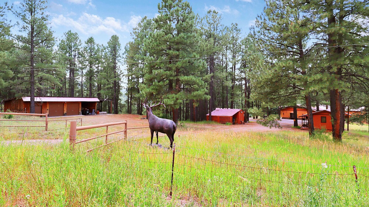 Photo of Outdoor in Jemez Springs