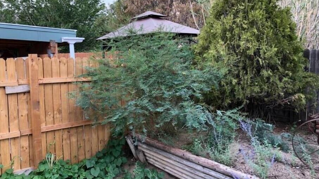 Photo of Outdoor in S.r. Marmon