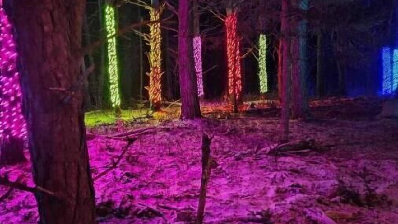 Photo of Others in Tupper Lake