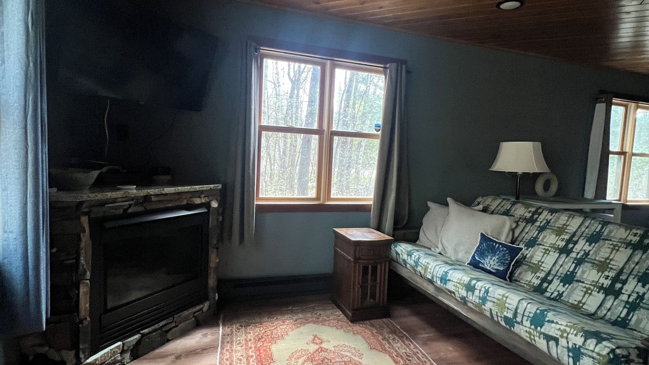 Photo of Livingroom in Backus