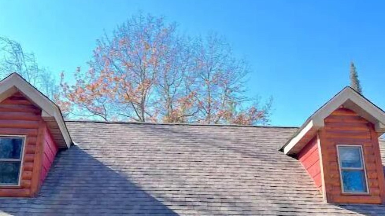Photo of Outdoor in Backus