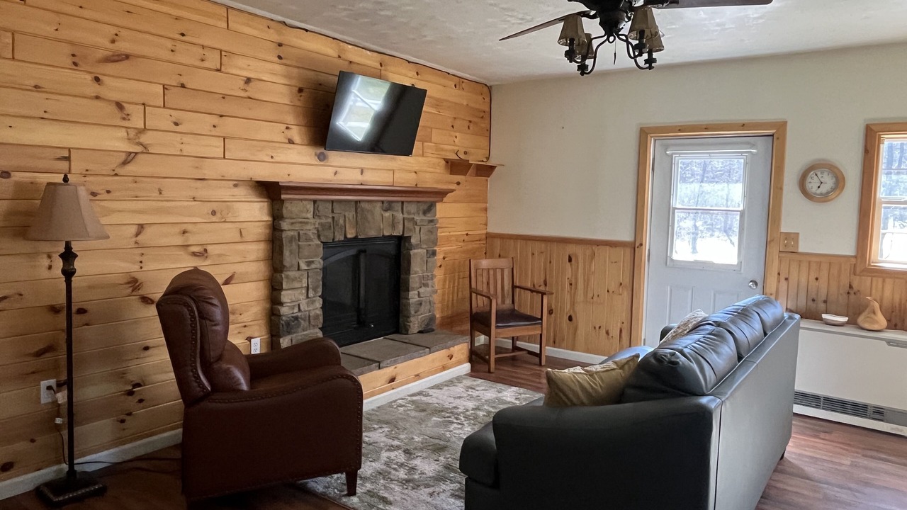 Photo of Livingroom in Deer River
