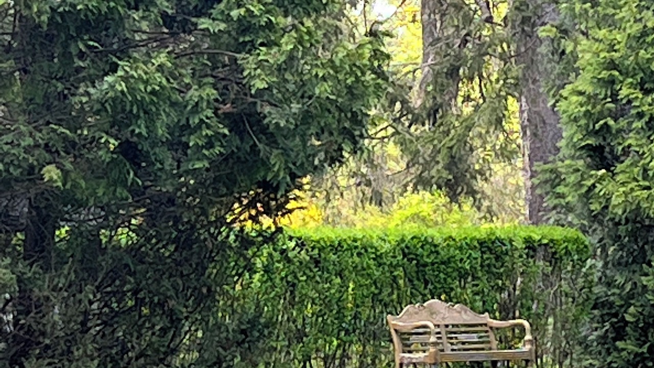 Photo of Outdoor in Glendale