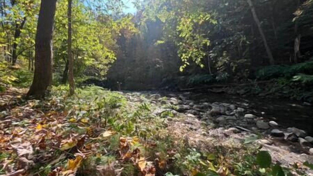 Photo of Others in Brattleboro