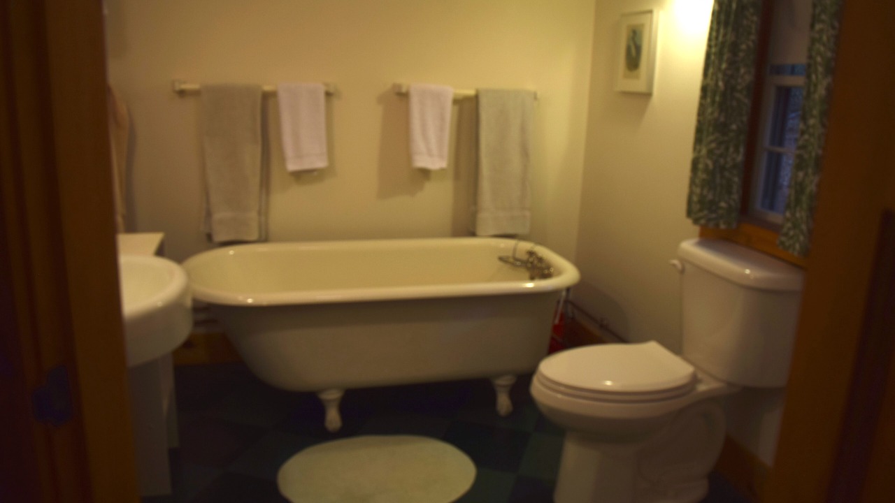 Photo of Bathroom in Keene Valley