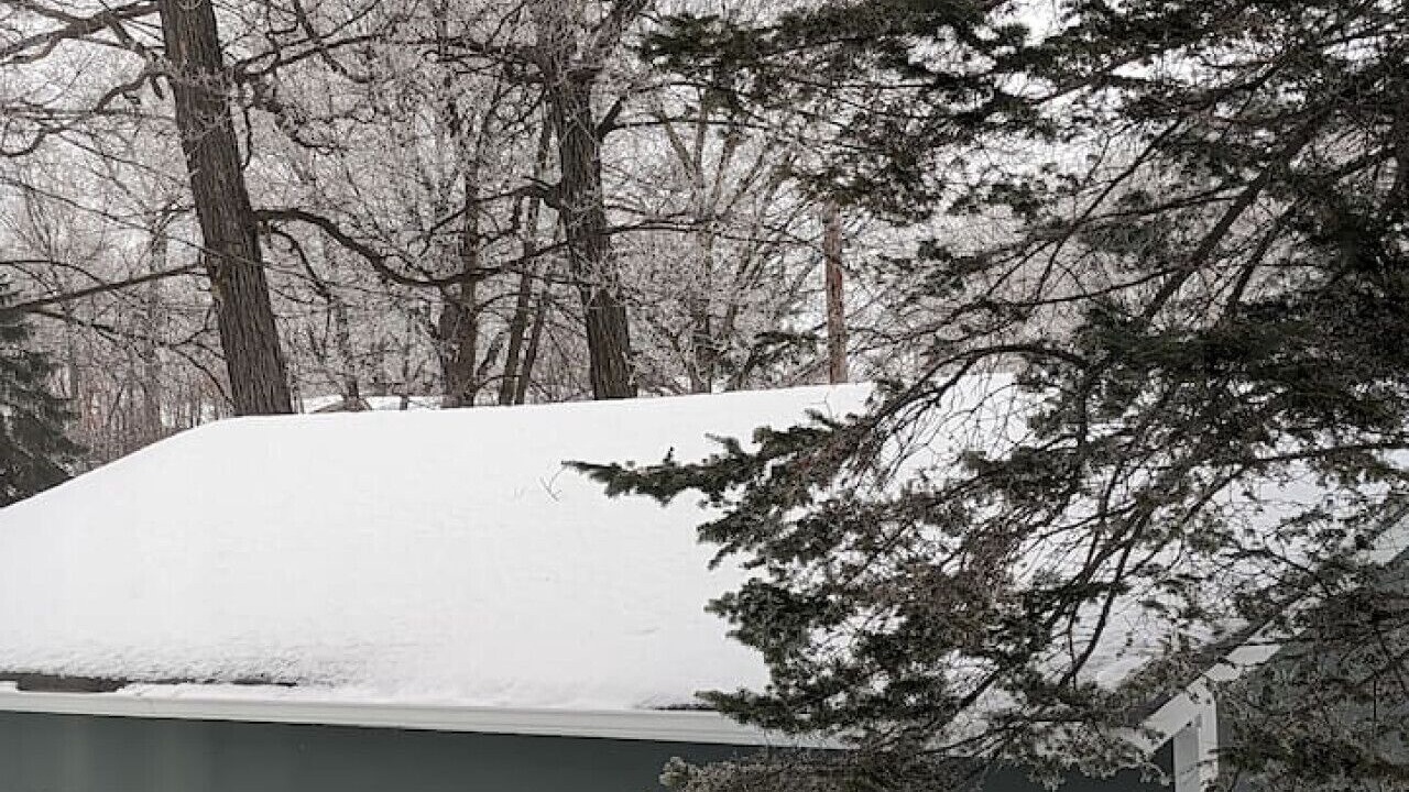 Photo of Others in Buffalo