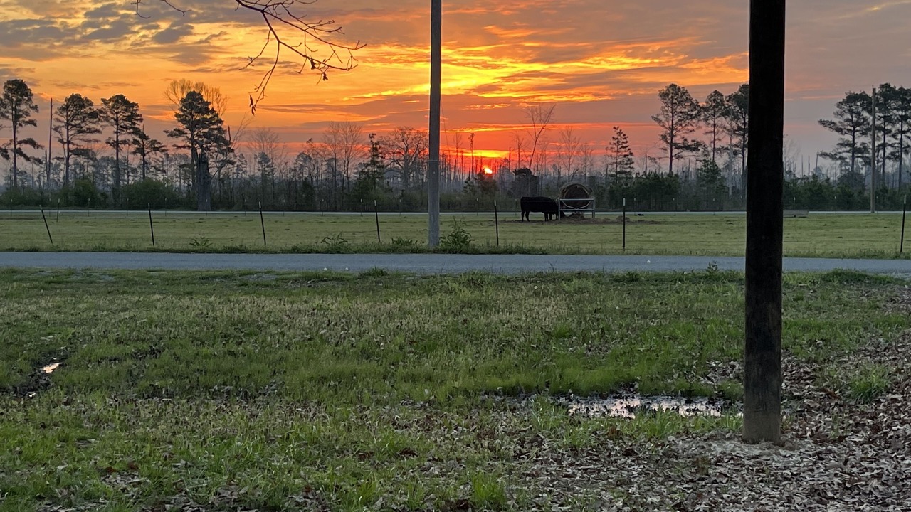 Photo of Outdoor in Gregory