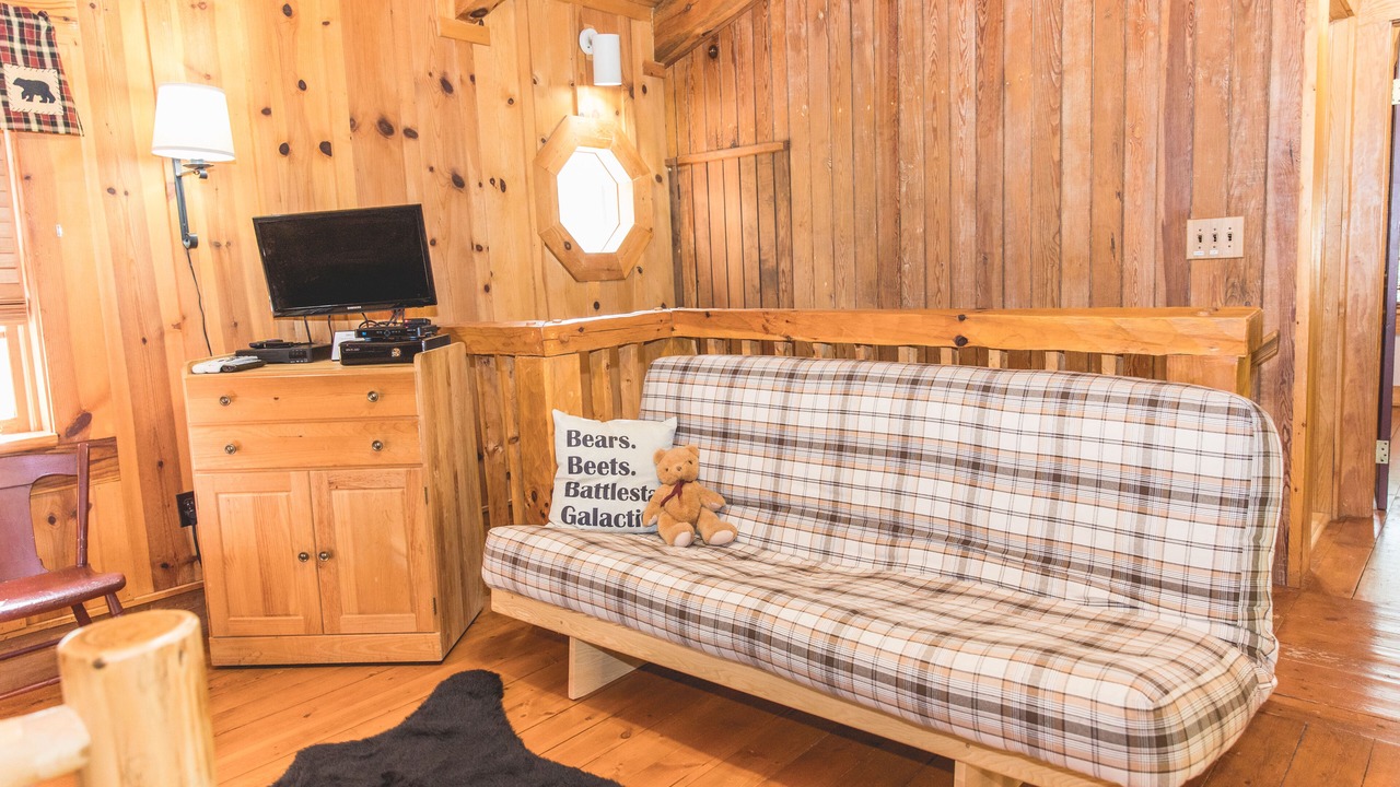 Photo of Livingroom in Natural Bridge