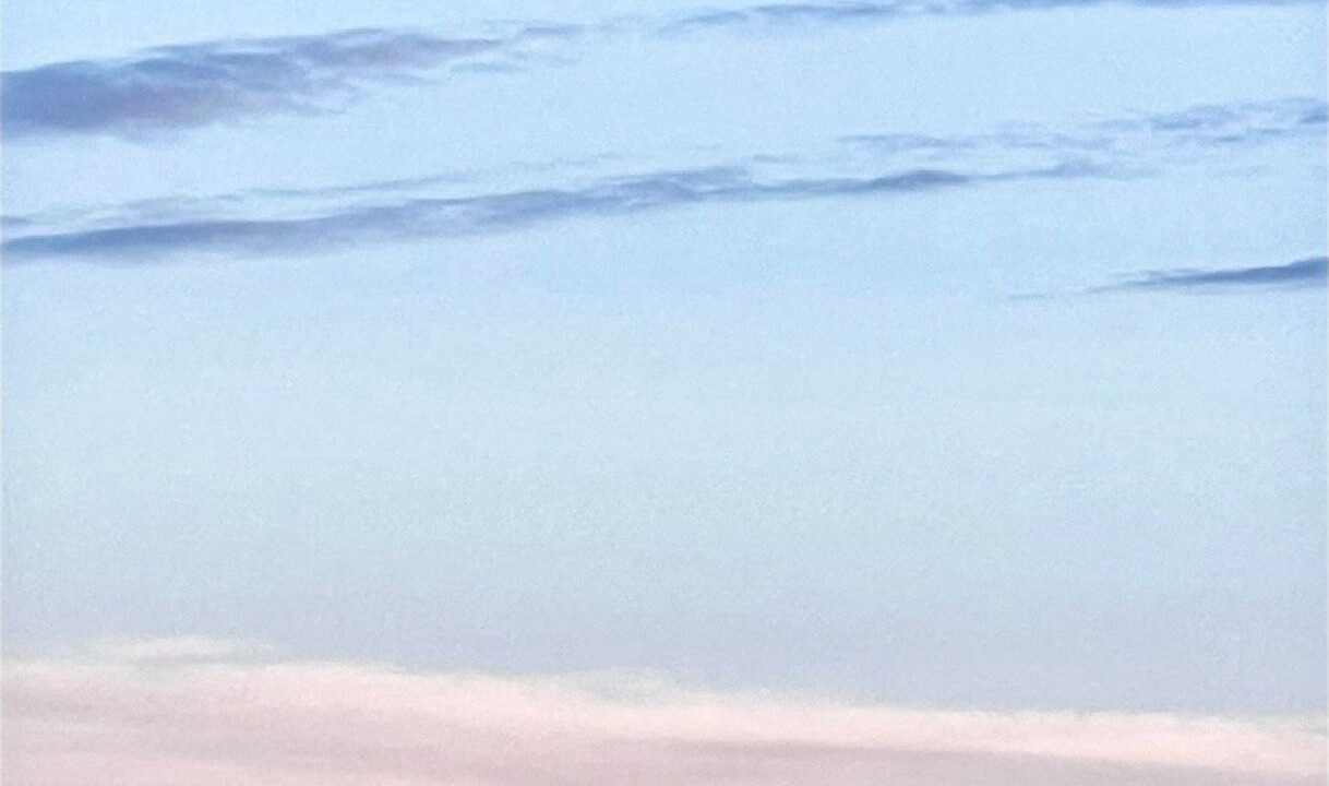Photo of Others in Williston North