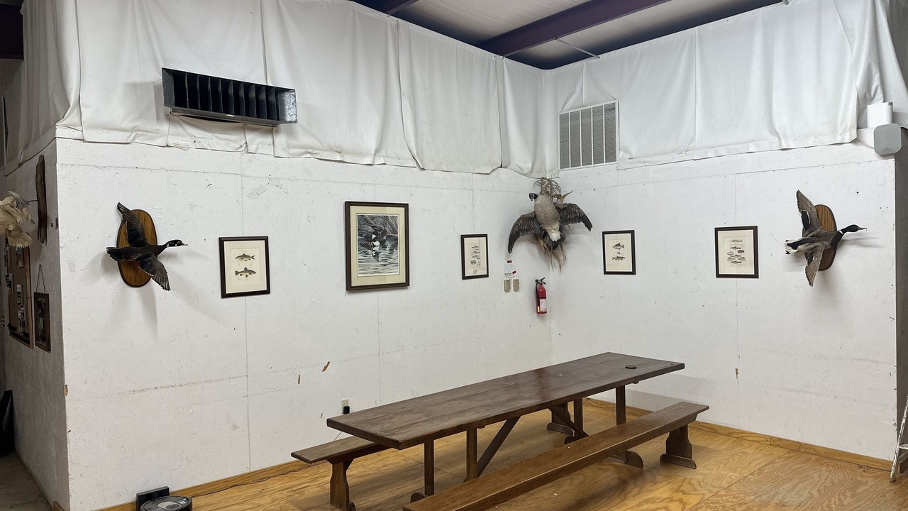 Photo of Others in Birdeye