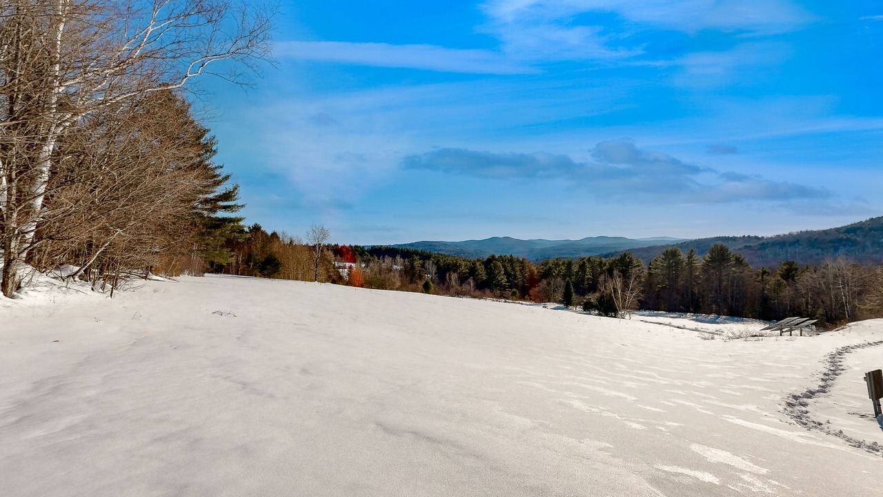 Photo of Others in Montpelier
