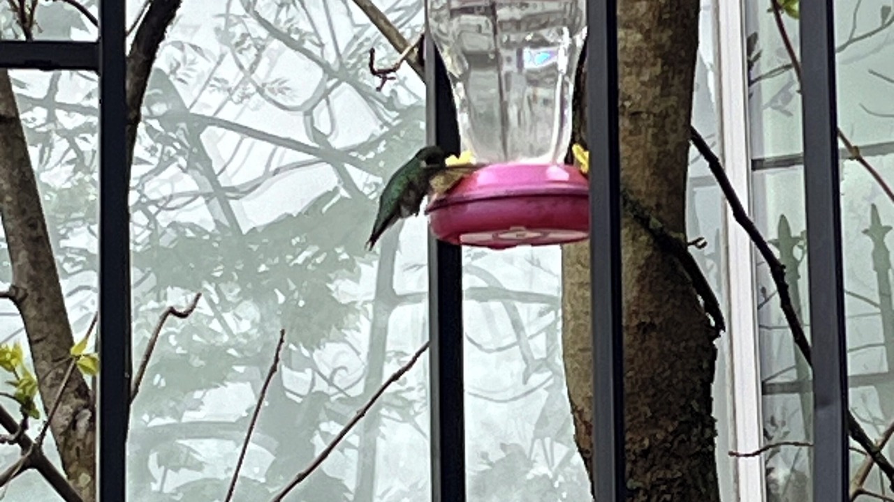 Photo of Outdoor in Great Barrington